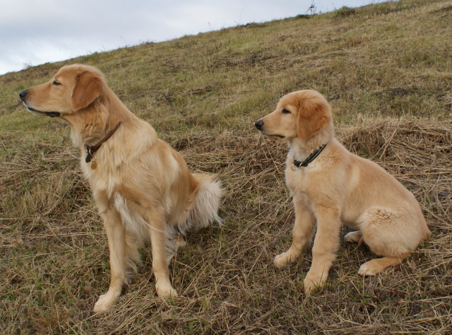 Sissi mother and Repe 3 months