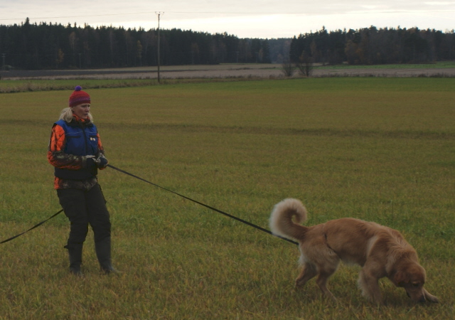 Repe 15 months old tracking in FH-workshop