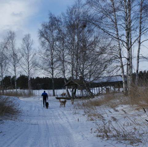 Vaarjoella matkalla merelle