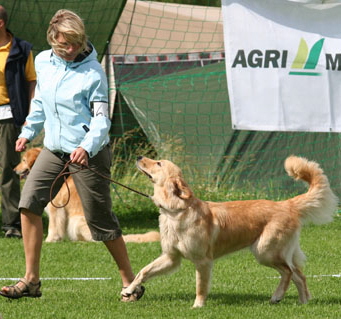 Sissi ja Minna juoksevat tasajalkaa Terviksell 2007 kuva Minna Toivonen