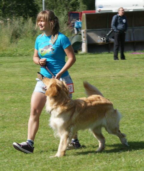 Emanze ja Sarri juoksevat Tervakoskella rodun päänäyttelyssä 2011