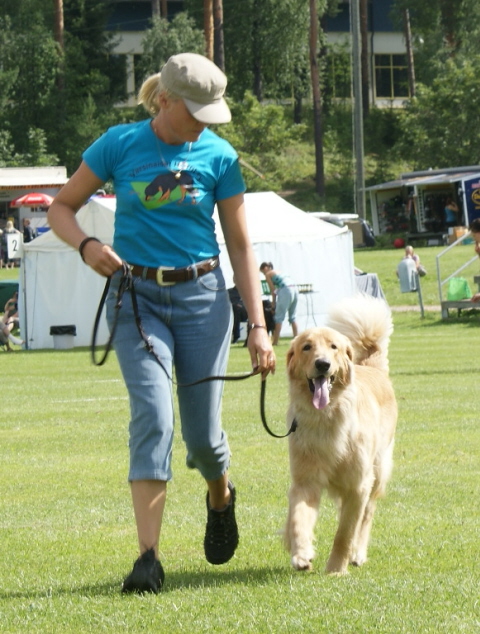 Repe is running in Tervakoski hovawart show 2011