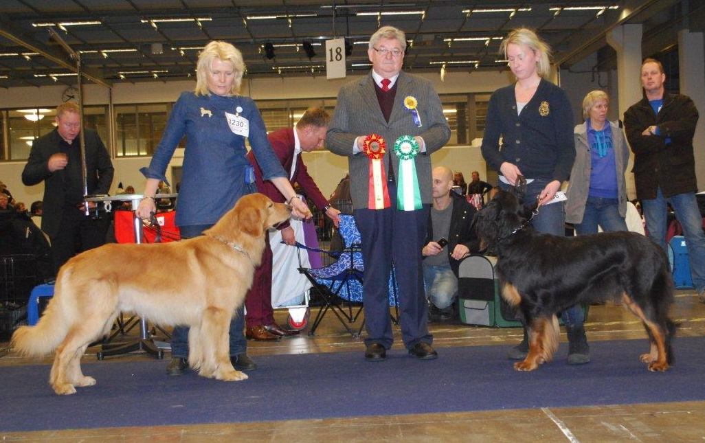 BOB Repe, judge Robert Dawson and BOS C.I.B Korad SE UCH TJH(FM) Hsslehoffs Aya-Keadotter   foto: Patricia Johansson 